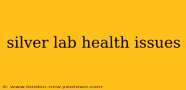 silver lab health issues