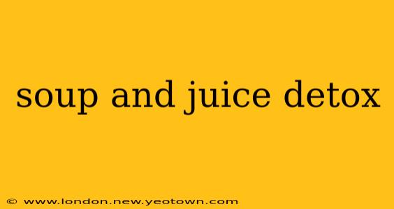 soup and juice detox