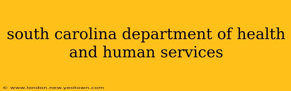 south carolina department of health and human services