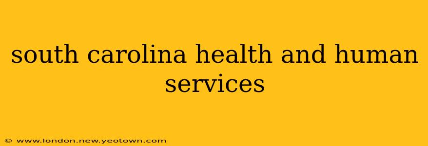south carolina health and human services