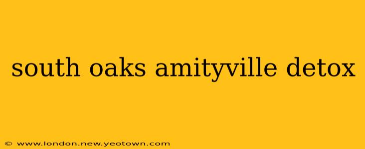 south oaks amityville detox