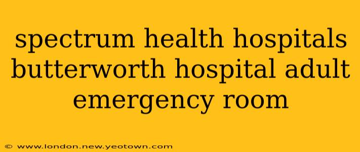spectrum health hospitals butterworth hospital adult emergency room