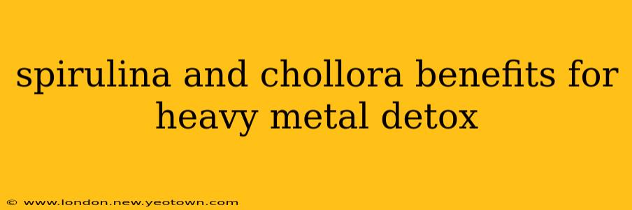 spirulina and chollora benefits for heavy metal detox