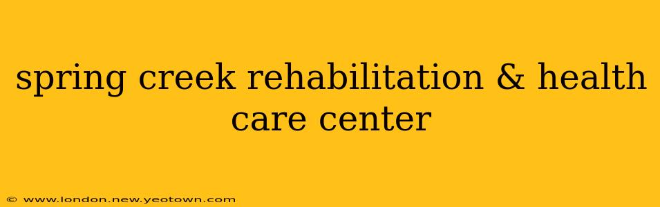 spring creek rehabilitation & health care center
