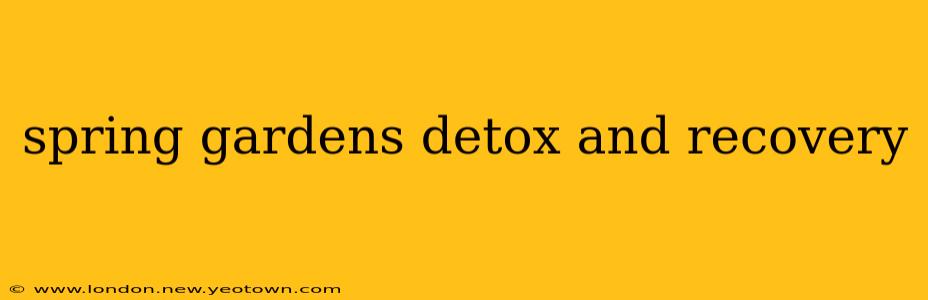 spring gardens detox and recovery