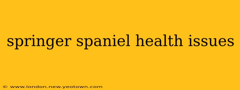 springer spaniel health issues