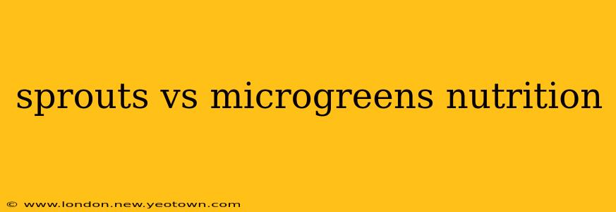 sprouts vs microgreens nutrition