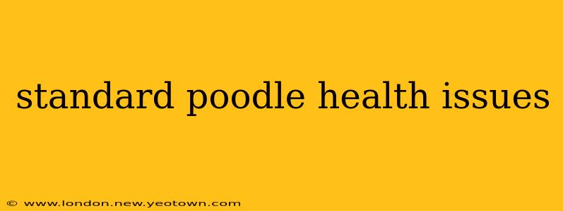 standard poodle health issues