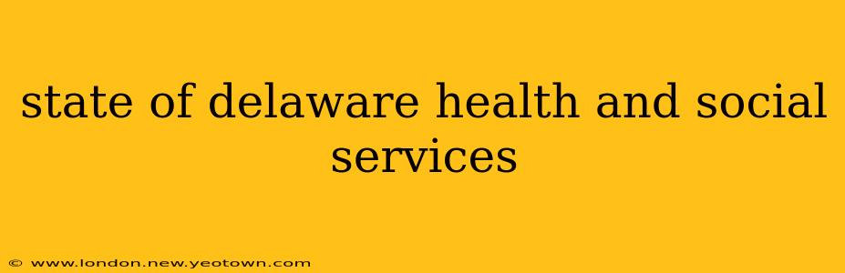 state of delaware health and social services