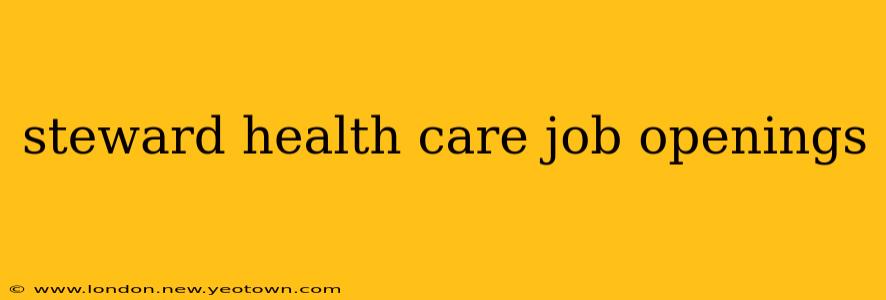 steward health care job openings