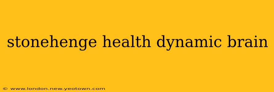 stonehenge health dynamic brain