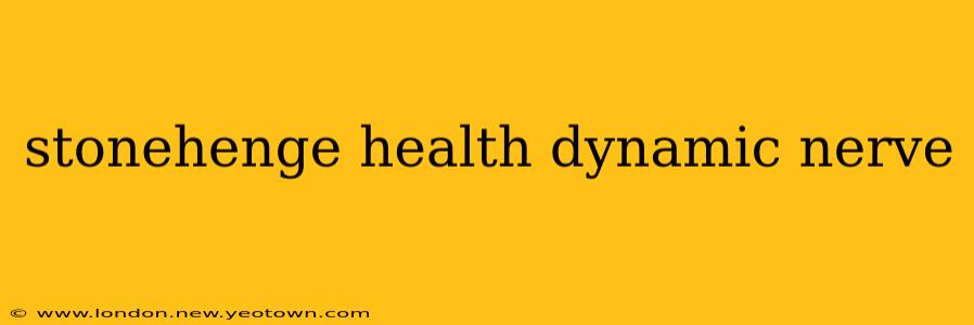 stonehenge health dynamic nerve