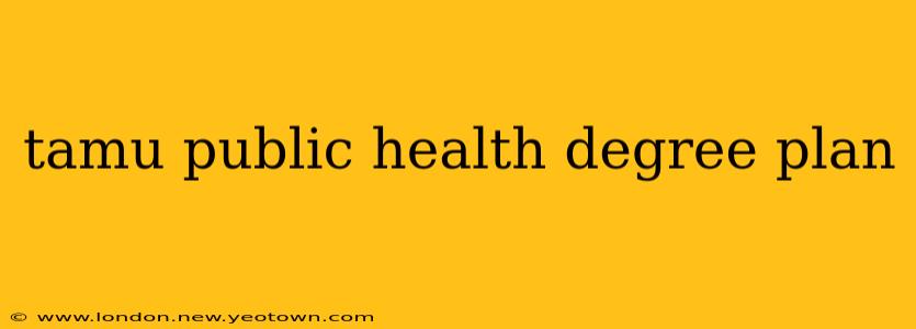tamu public health degree plan