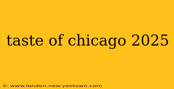 taste of chicago 2025
