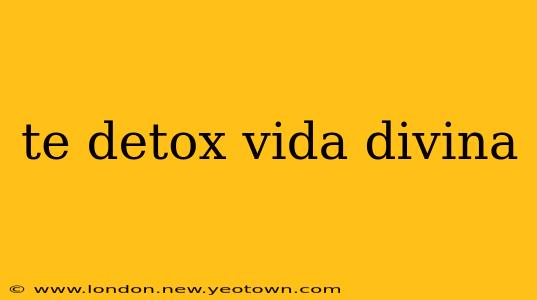te detox vida divina