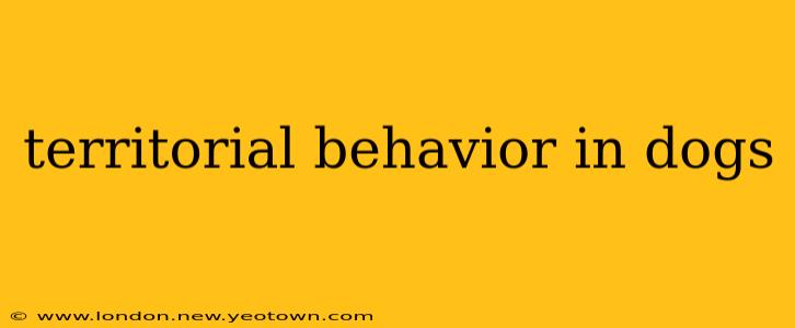 territorial behavior in dogs