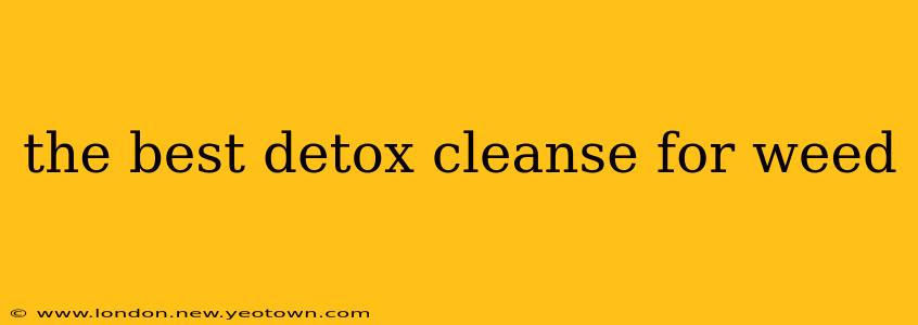 the best detox cleanse for weed