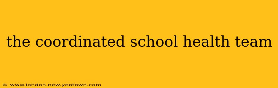 the coordinated school health team