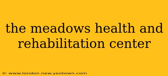 the meadows health and rehabilitation center