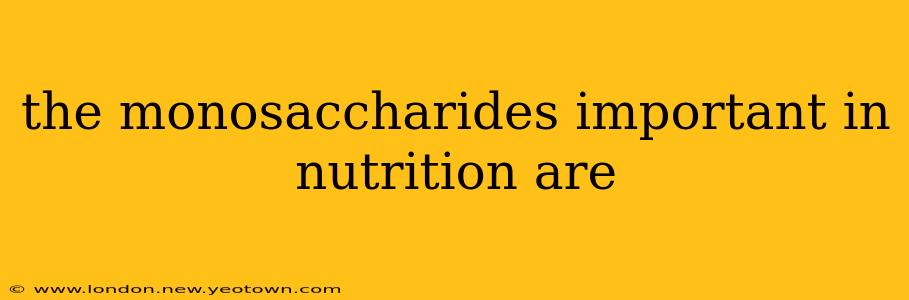 the monosaccharides important in nutrition are