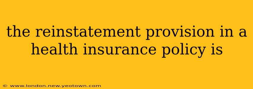 the reinstatement provision in a health insurance policy is