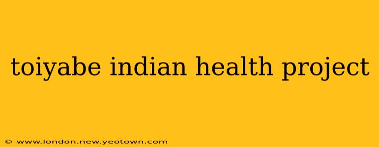 toiyabe indian health project