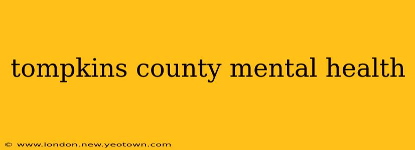 tompkins county mental health