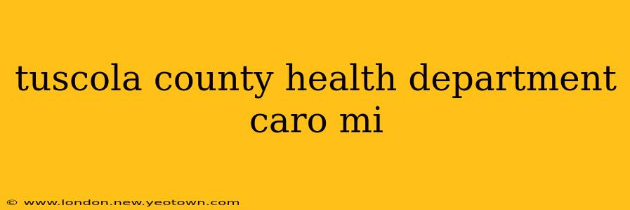 tuscola county health department caro mi