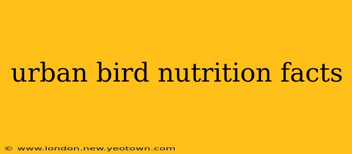 urban bird nutrition facts