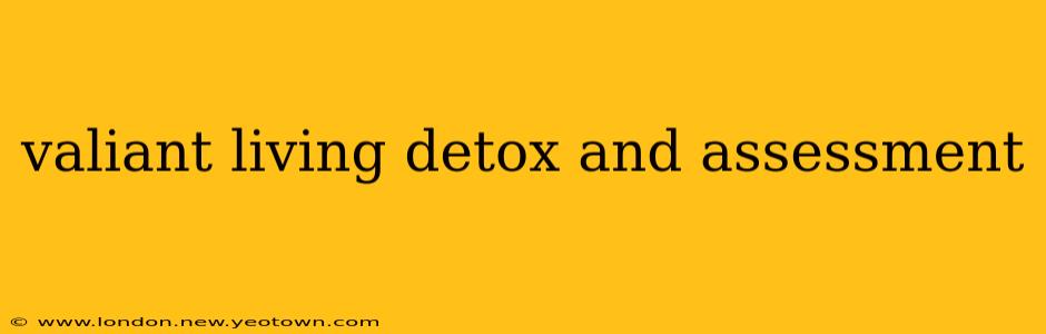 valiant living detox and assessment