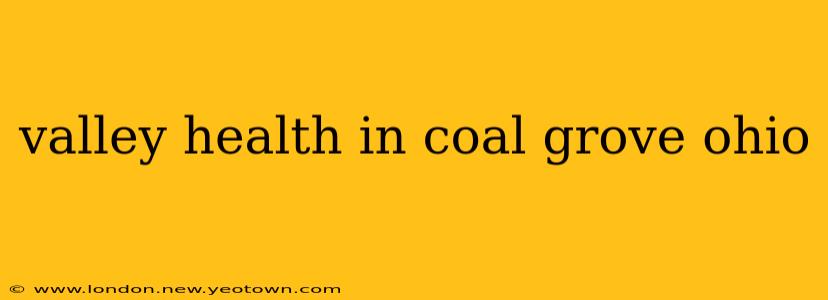 valley health in coal grove ohio