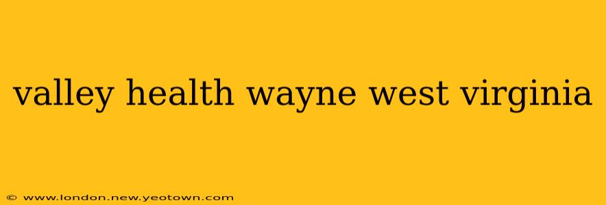 valley health wayne west virginia