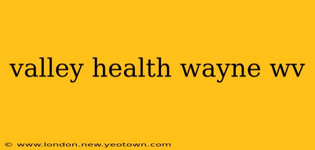 valley health wayne wv