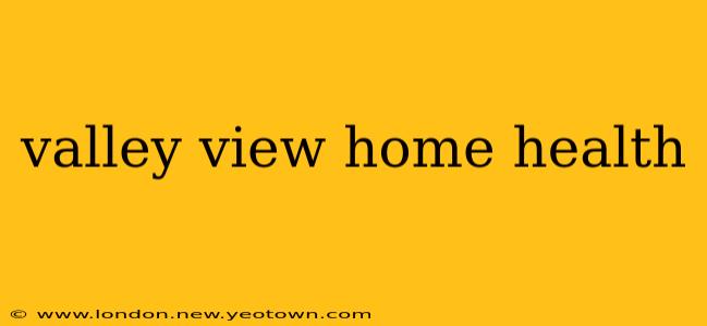 valley view home health