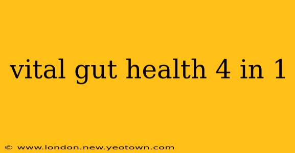 vital gut health 4 in 1