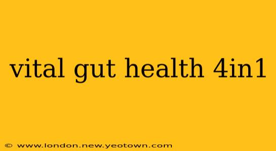 vital gut health 4in1