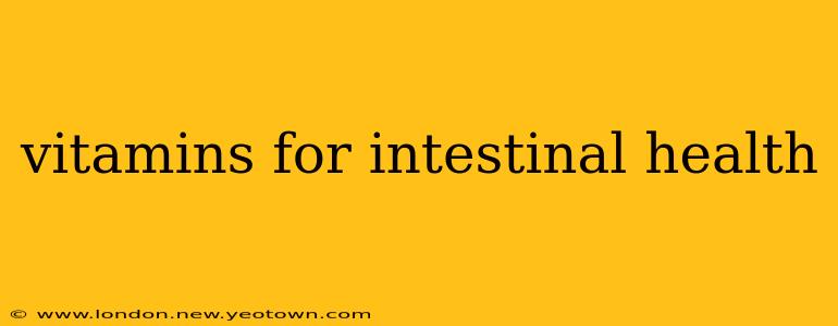 vitamins for intestinal health