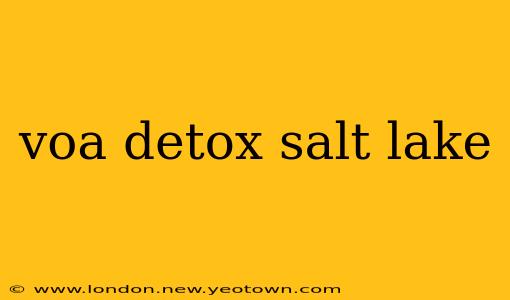 voa detox salt lake