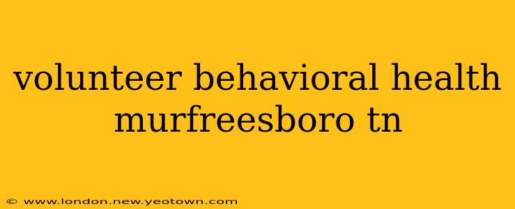 volunteer behavioral health murfreesboro tn