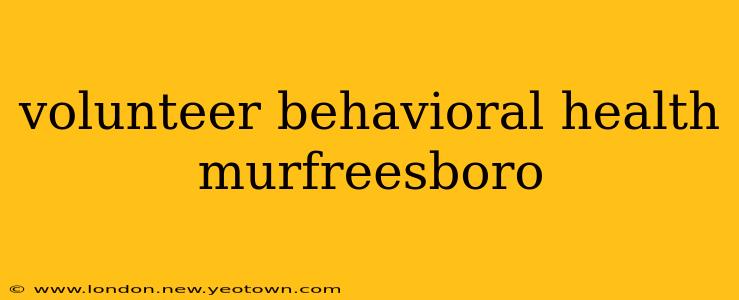 volunteer behavioral health murfreesboro
