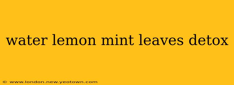 water lemon mint leaves detox