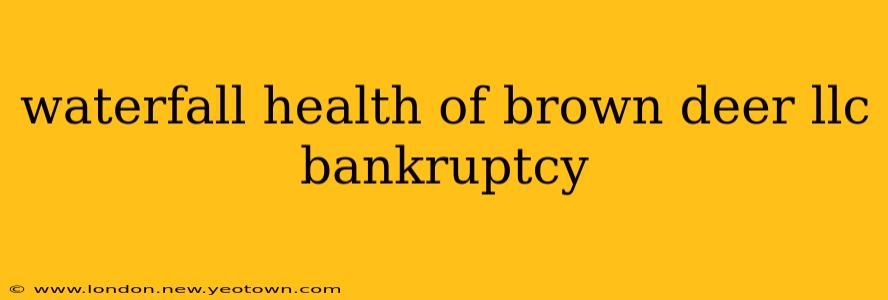 waterfall health of brown deer llc bankruptcy