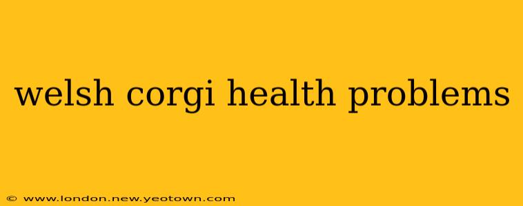 welsh corgi health problems