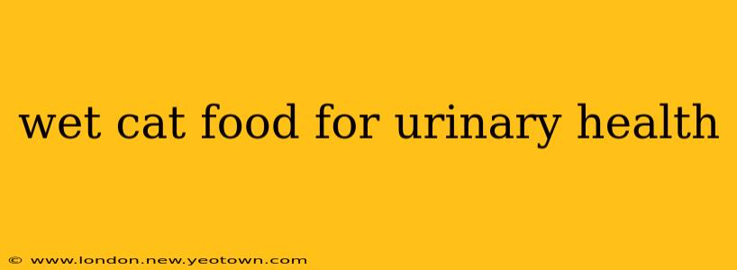 wet cat food for urinary health