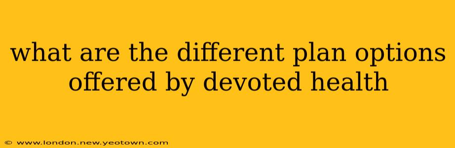 what are the different plan options offered by devoted health