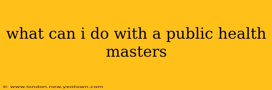 what can i do with a public health masters