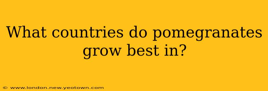What countries do pomegranates grow best in?