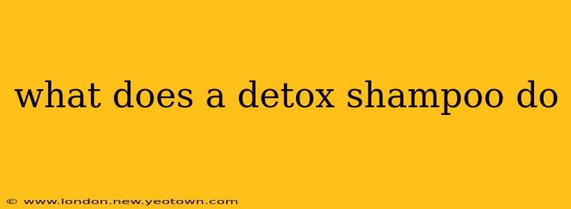 what does a detox shampoo do