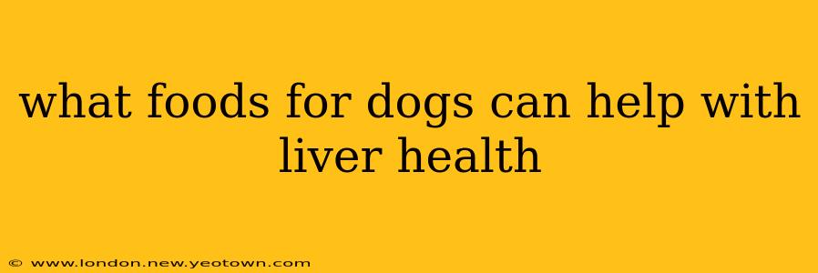 what foods for dogs can help with liver health