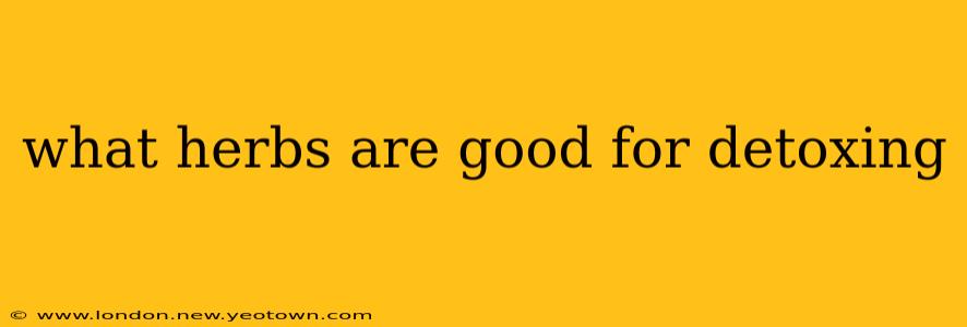 what herbs are good for detoxing
